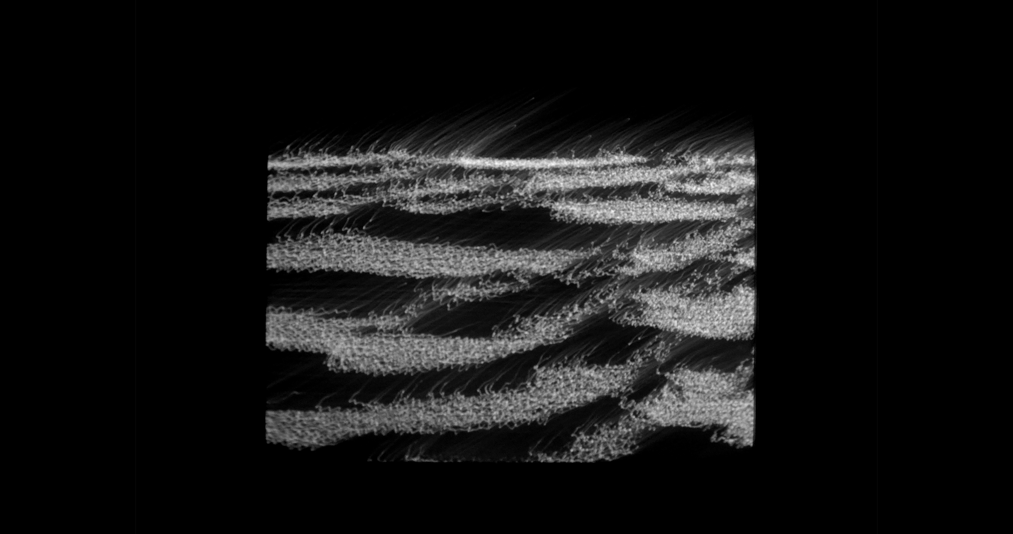 Artist Feature: Devin Greenwood