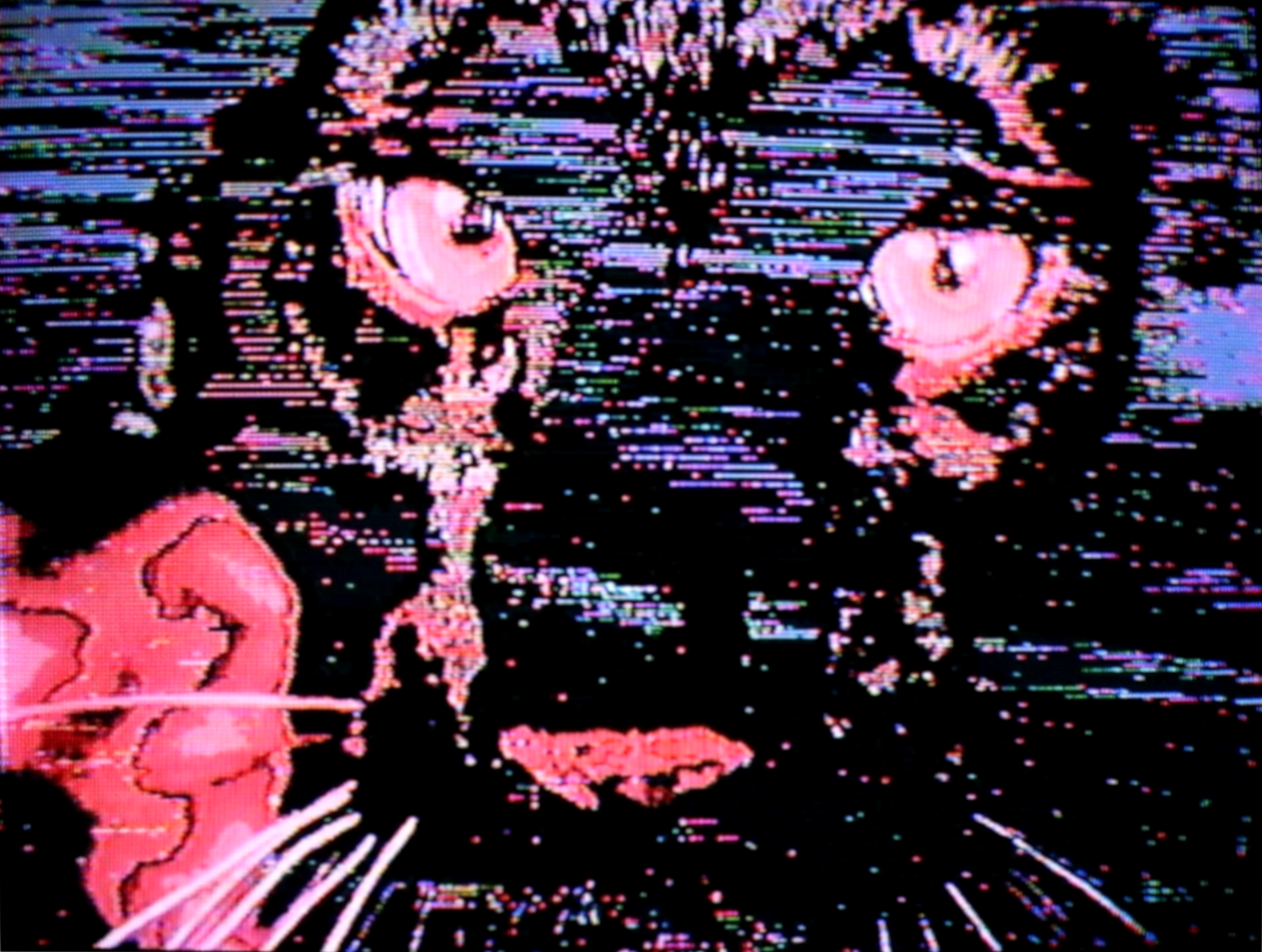 Artist Feature: Videodrome TV