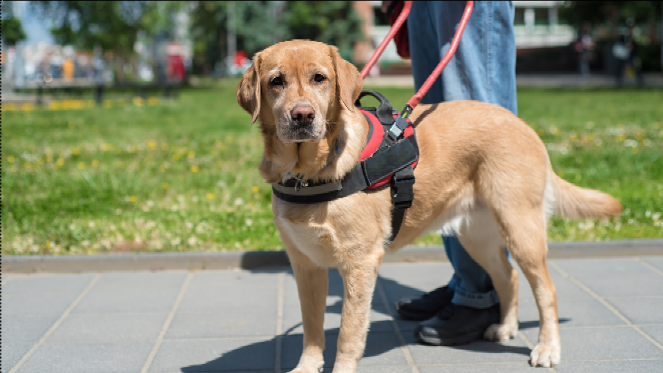 Faultplane hero image