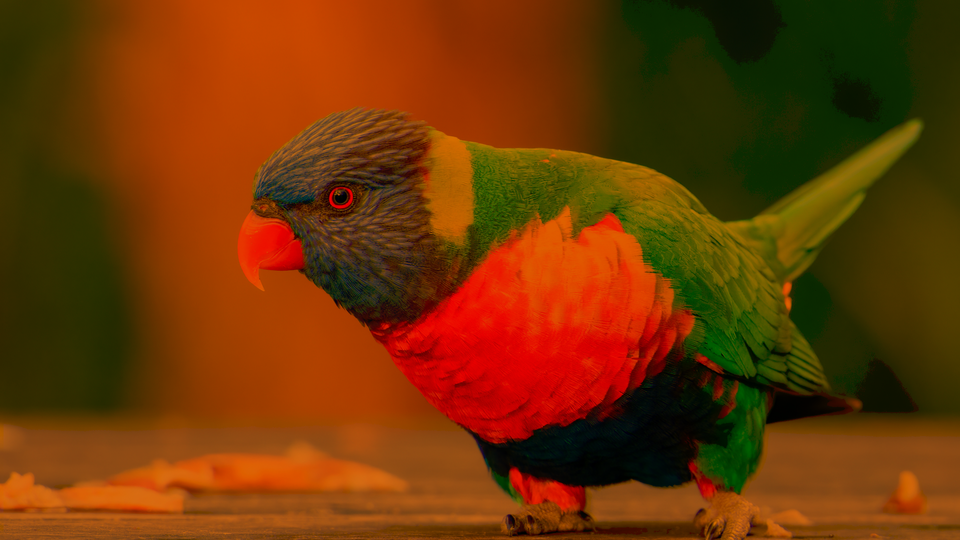 Printer Light Balancing result