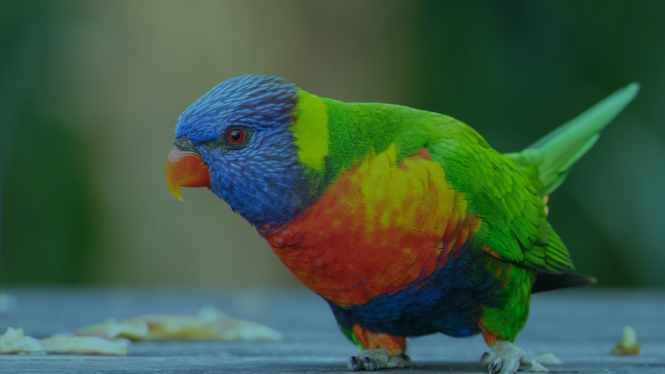 Aged Vintage Print result