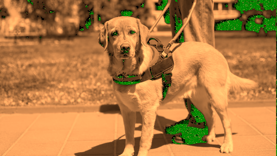 Autonomous Pattern Growth result