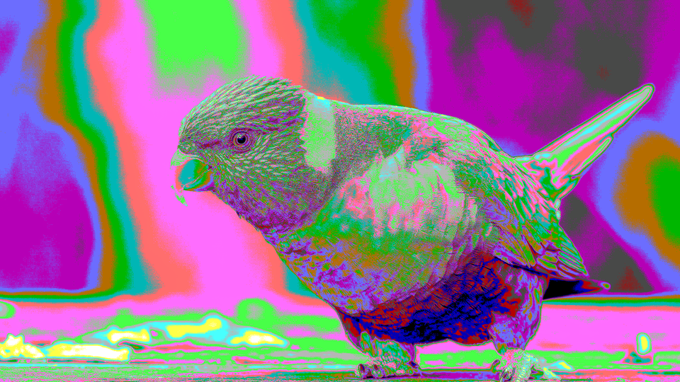 Game Boy Photography result