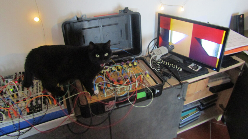 small kitty2