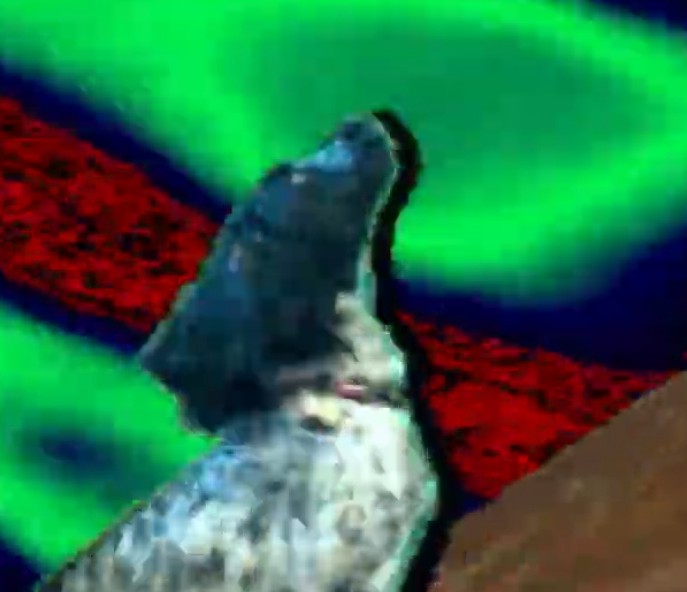 Screenshot_20220124-111219_YouTube~2