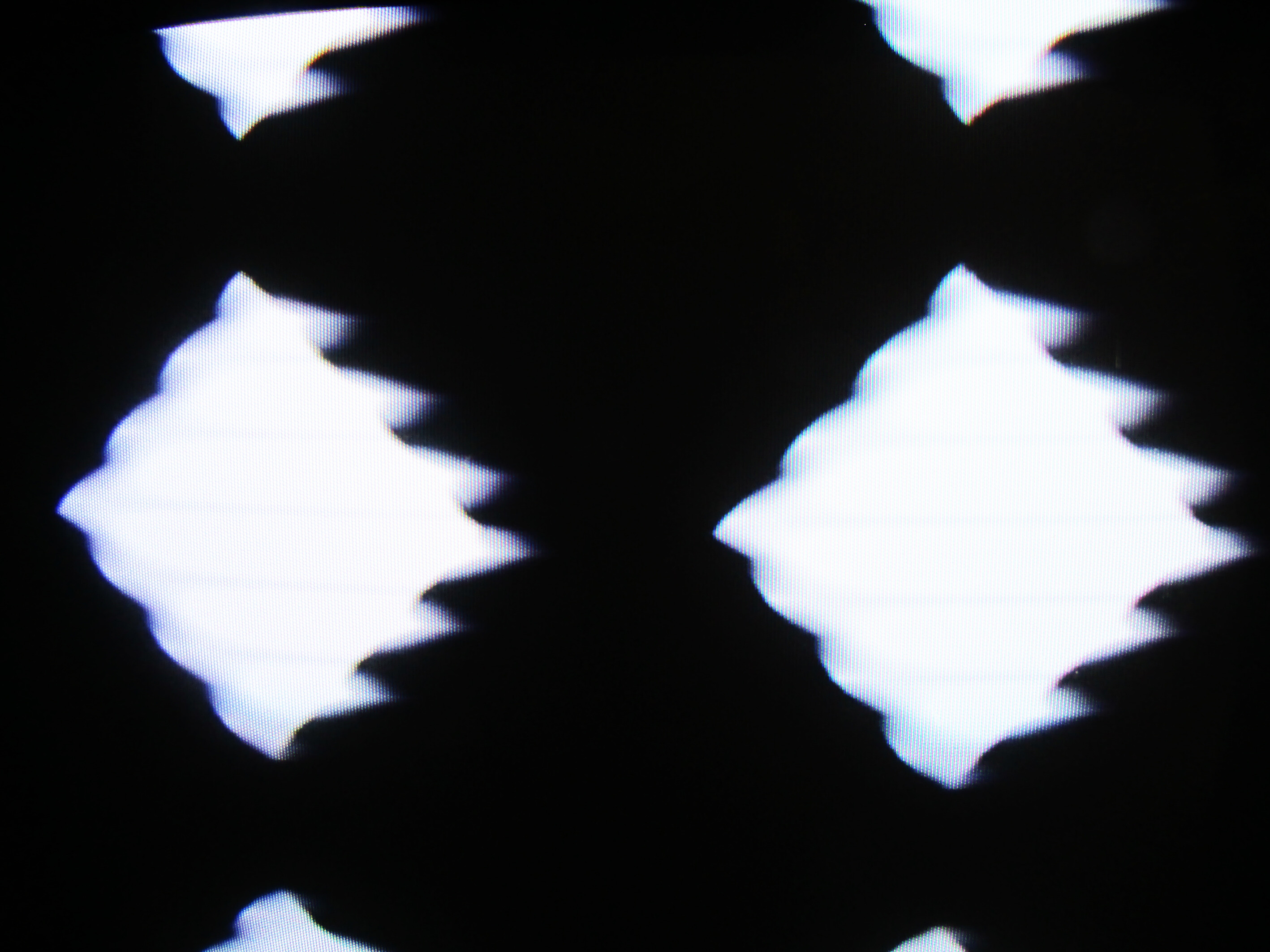 clip1