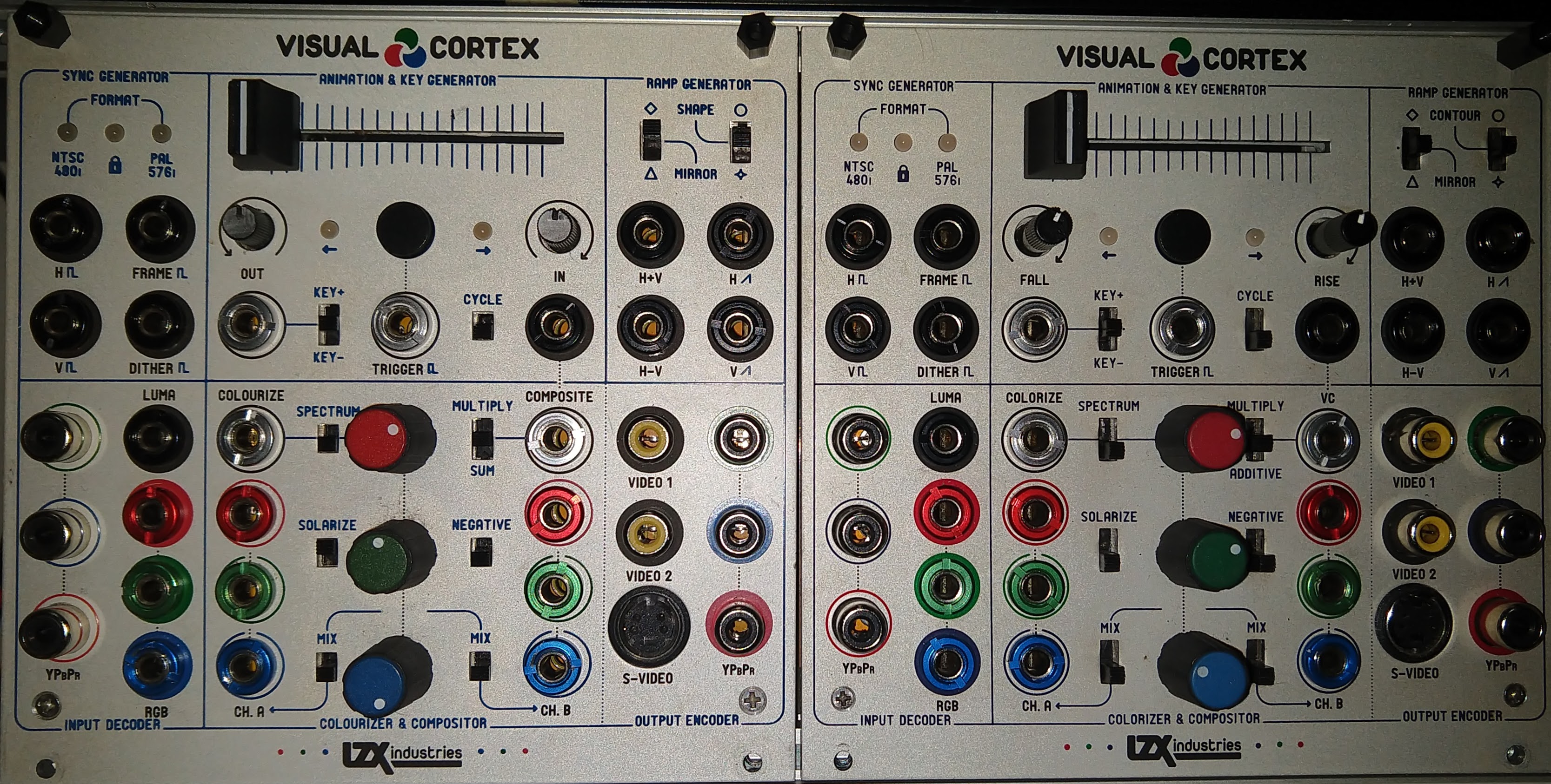 Visual Cortex x 2