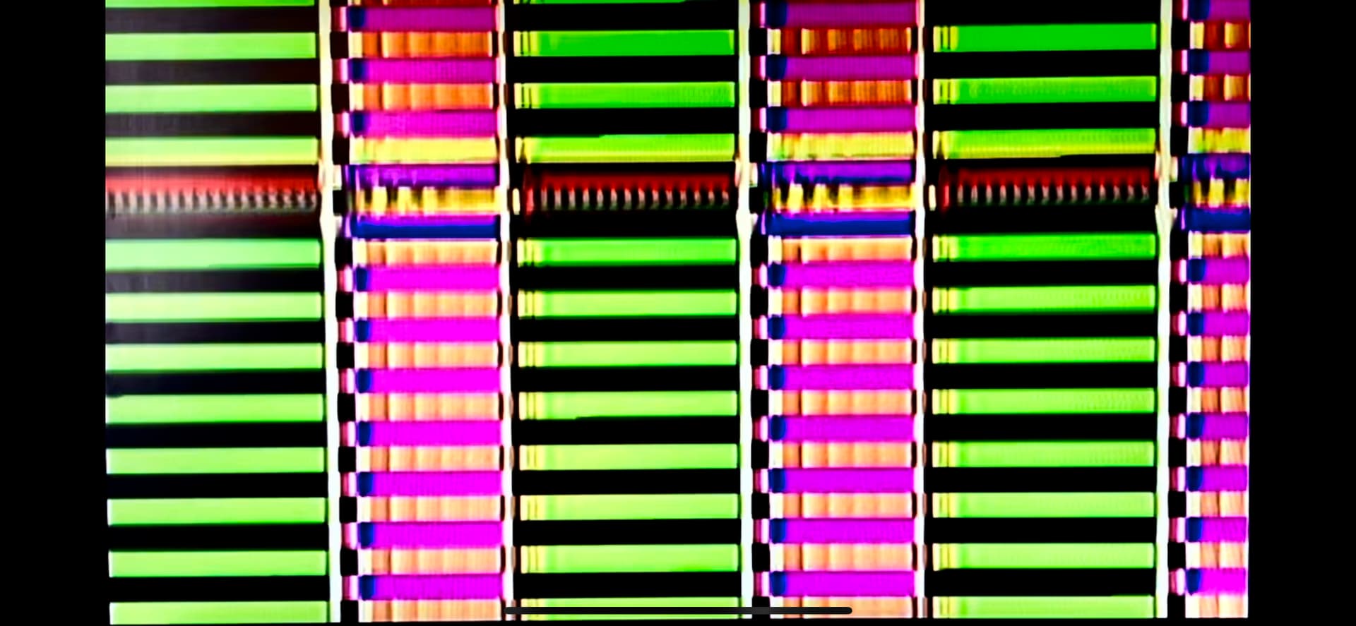 IMG_6861.PNG