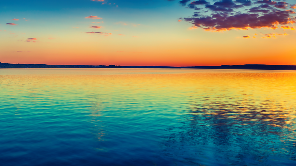 Signal Scramble input