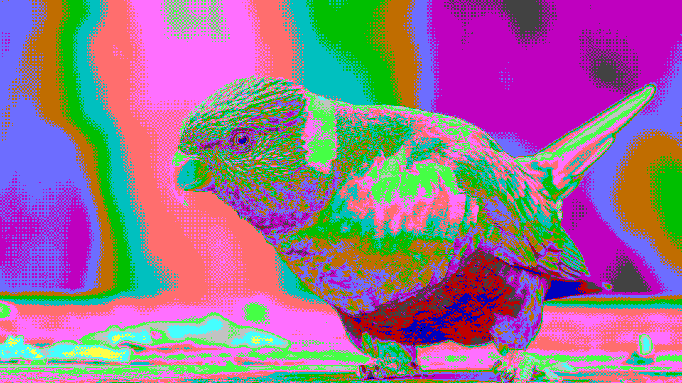 Pop Art Posterize output