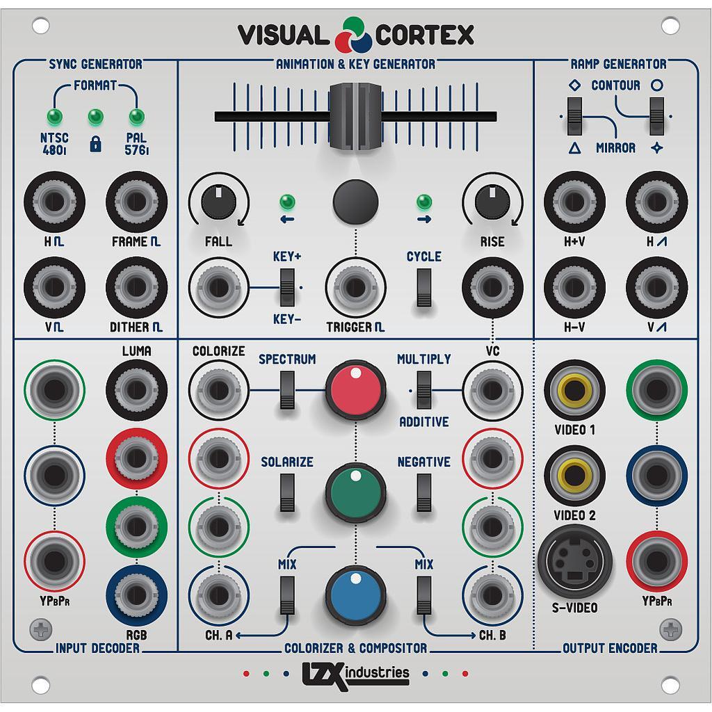 Visual Cortex